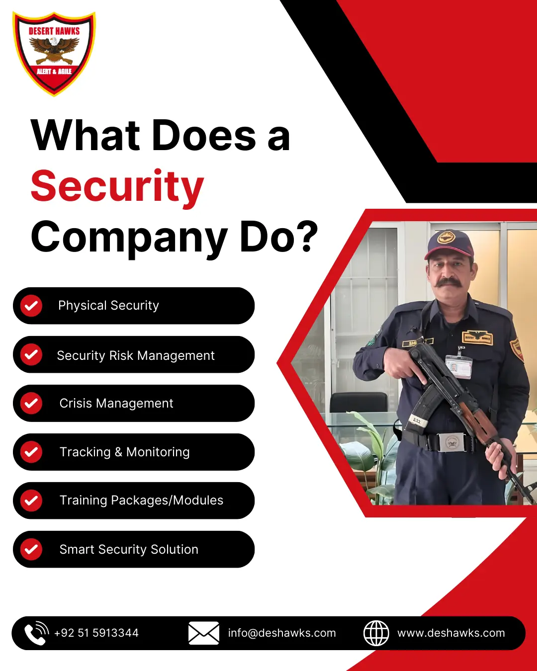 What Does a Security Company Do