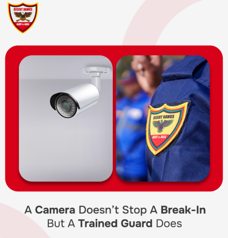 camera image of desert hawks